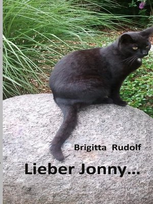 cover image of Lieber Jonny